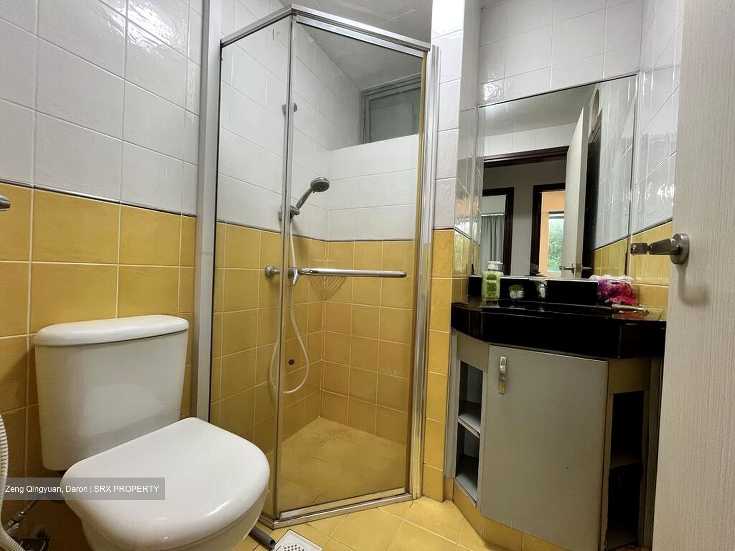 Bishan Loft (D20), Condominium #497776521